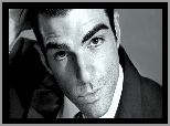 Zachary Quinto, Aktor, Przystojny, Mężczyzna, Spojrzenie